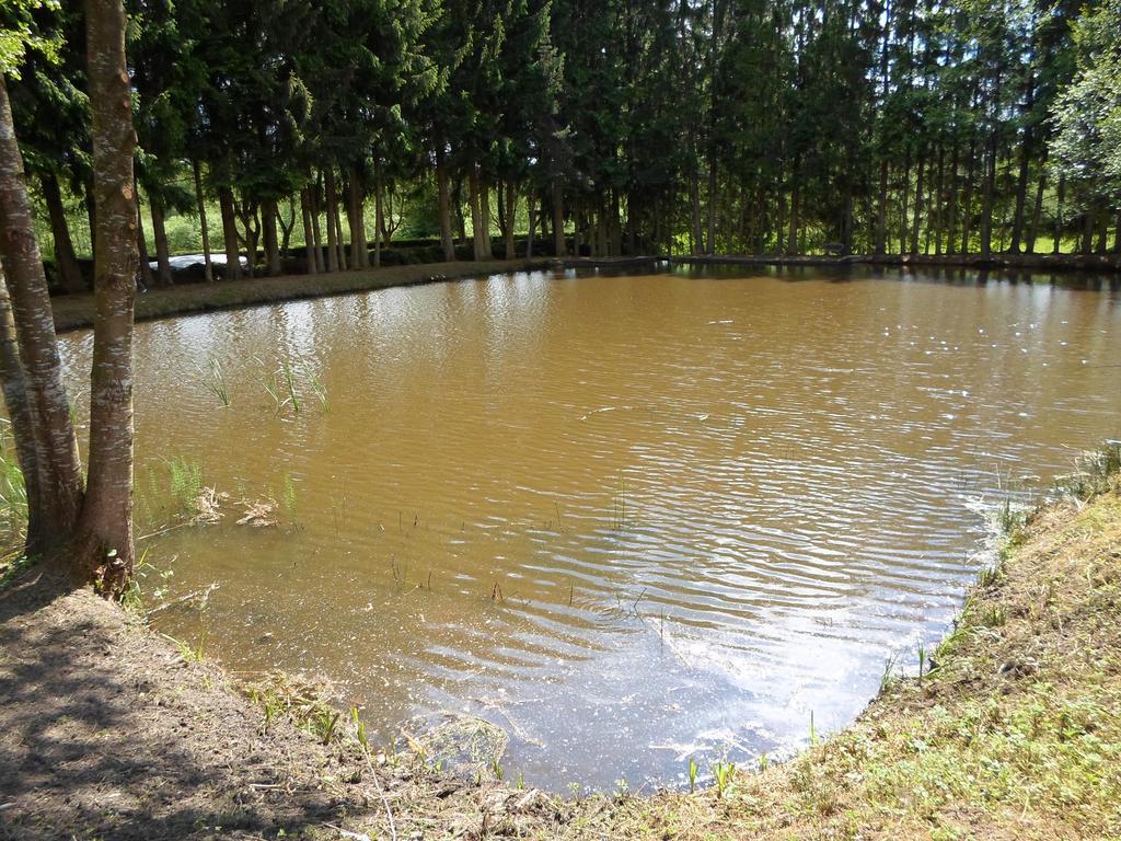 Camping Les Pinasses La Chapelle  Exterior photo